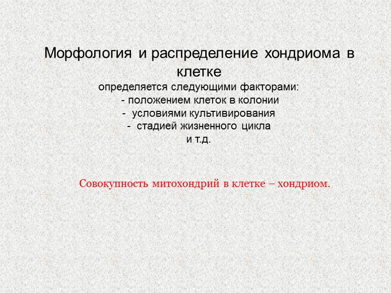 Морфология и распределение хондриома в клетке определяется следующими факторами:  - положением клеток в